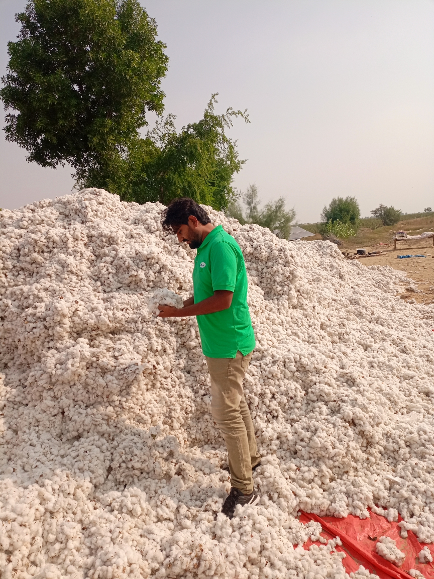 Pakistani farmer in field
