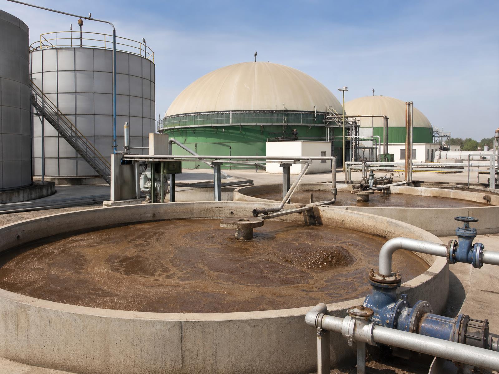 Biogas Feedstock Pretreatment